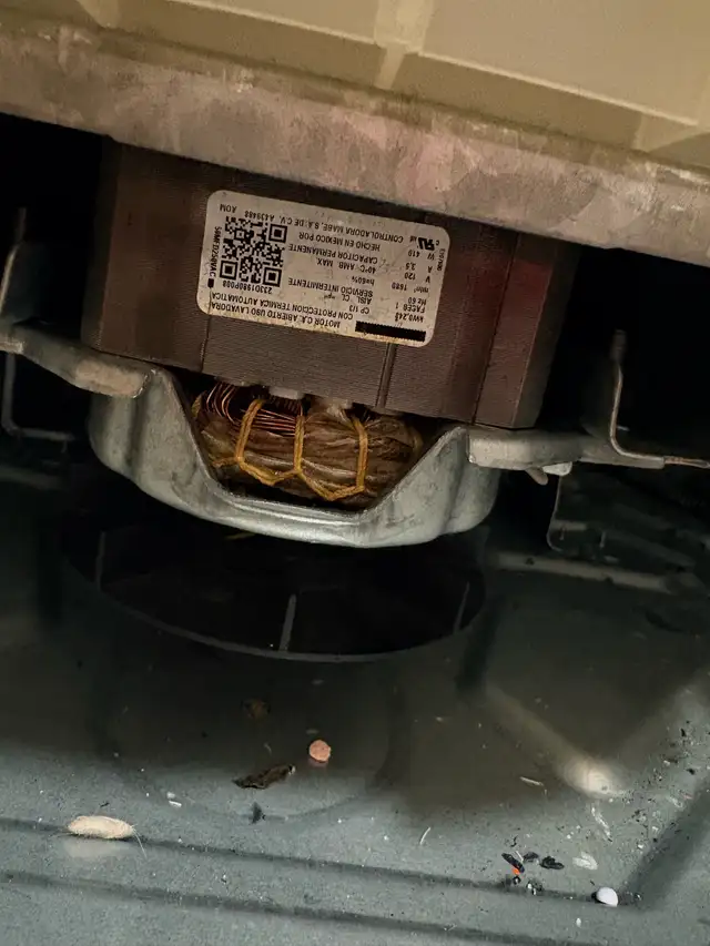 Certified Appliance Repair Technician in Appliance Repair & Installation in Calgary - Image 5