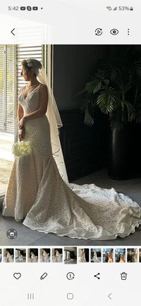 Wedding dress , fish tail 