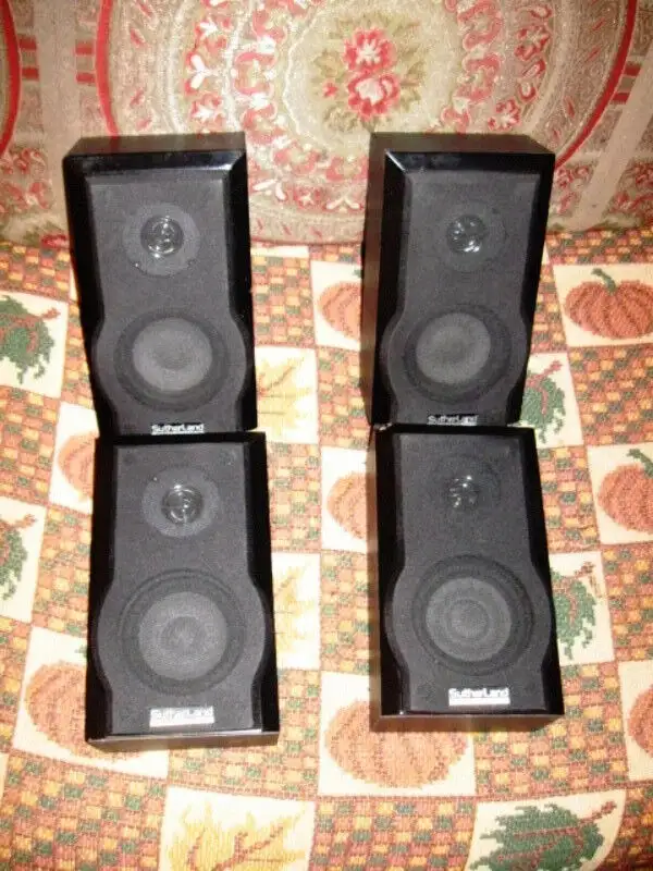 Sutherland Innovative Digital Audio 5 Speakers in Speakers in Ottawa - Image 2