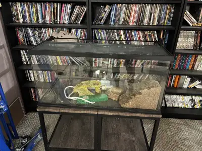 40 Gallon Top Open Terrarium , View more