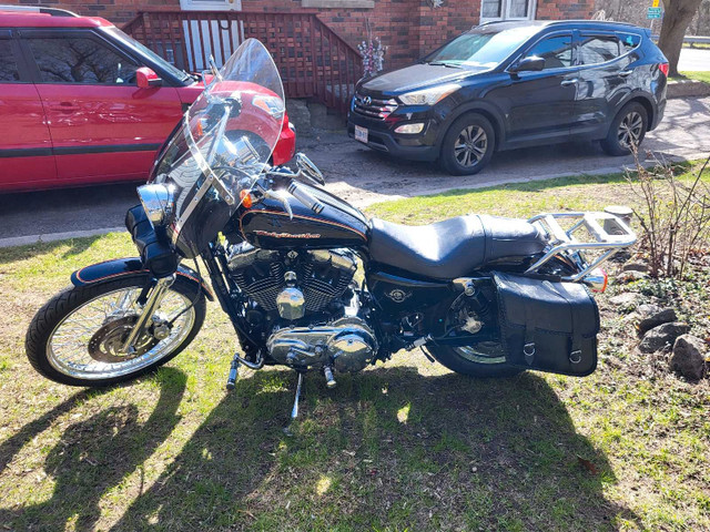 05 Harley Davidson Sportster  in Street, Cruisers & Choppers in Oshawa / Durham Region