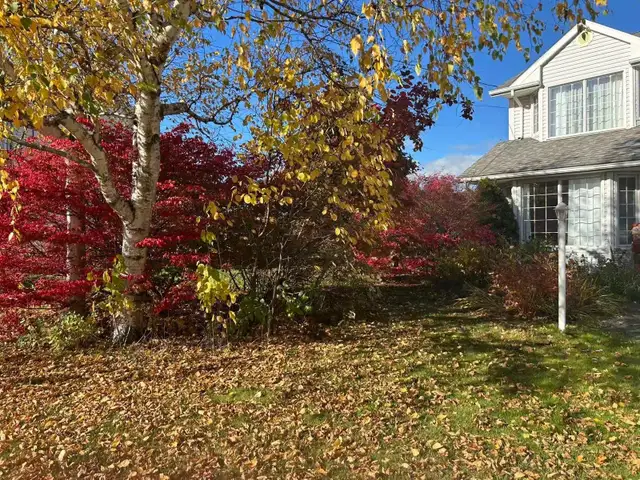 Lewis Point,  5 Beds 3 Baths House in Long Term Rentals in Charlottetown - Image 29