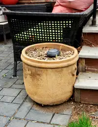 Outdoor Pots