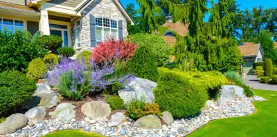 Tree removal, and landscaping ASAP, View more
