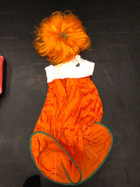 pumpkin costume 