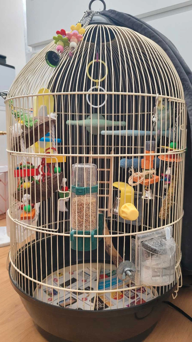 Living World Round Bird Cage (bird not included) in Birds for Rehoming in Calgary - Image 3