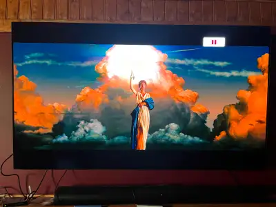 A 65” LG OLED TV, View more