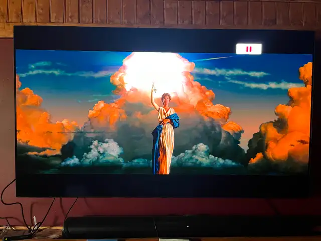 A 65” LG OLED TV628632747948831220