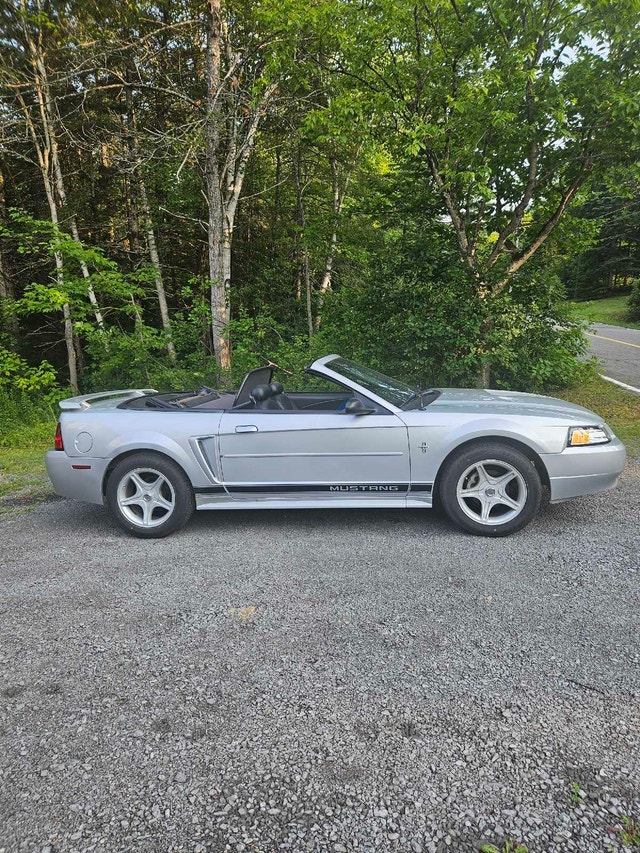 Ford mustang 2004
