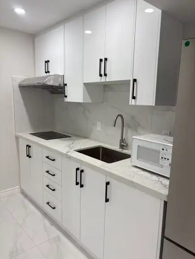 Newly renovated 2 bedroom and 2 bathrooms basement unit in central downtown Toronto, looking for 2 s...