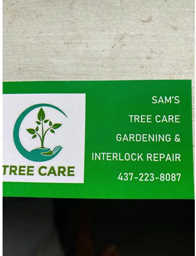 Tree Care Toronto in Ontario in Canada - Image 2