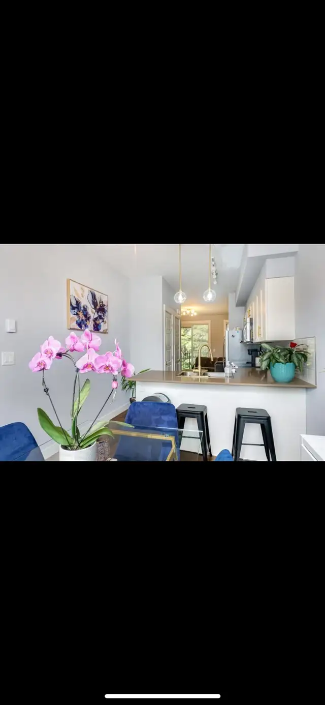 2 Bed 2 Bath Renovated Townhome in Long Term Rentals in Kitimat - Image 9