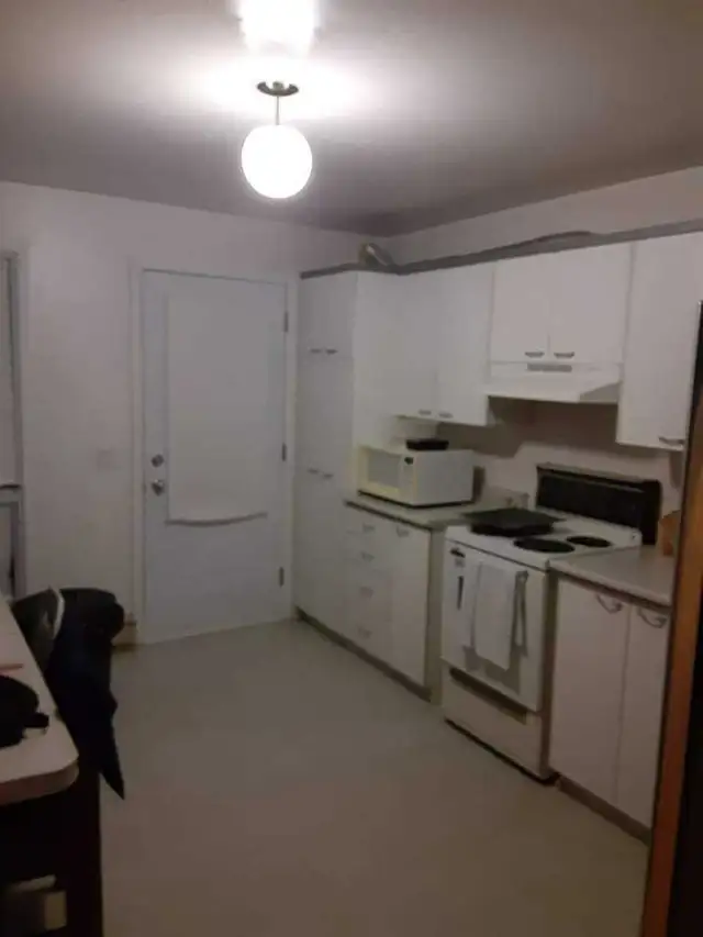 roomate needed 64840301059586123