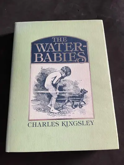 Macmillan The Water-Babies Charles Kingsley, View more