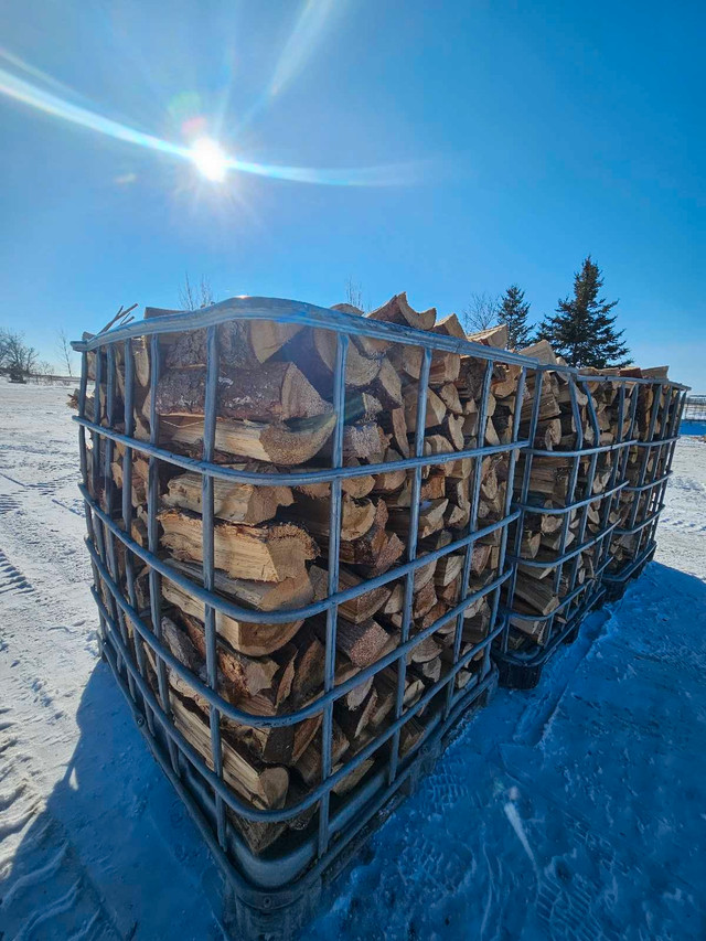 Firewood for sale tamarack  in Fireplace & Firewood in Winnipeg - Image 2