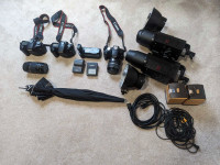 3 Canon cameras bundle,  2 Lenses, Battery grip, 2 studio lights
