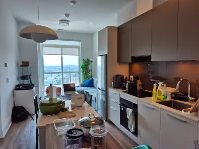Rent: $2,330/month Lease term: Approximately 16 months remaining, then month-to-month Availability:...