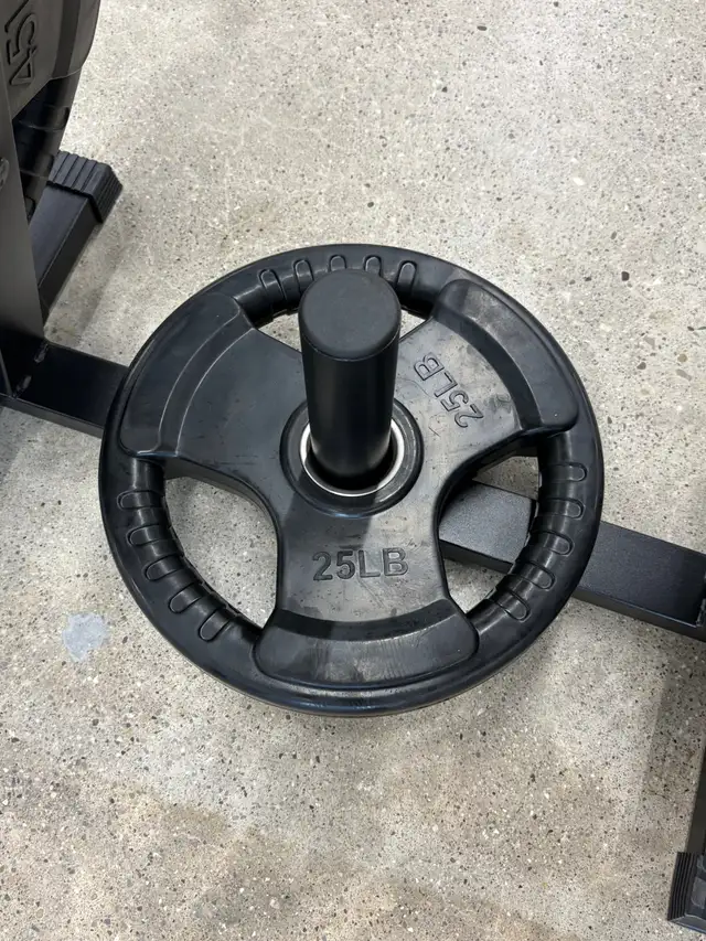Olympic barbell weight plates (2.5 - 45lb) | Exercise Equipment ...