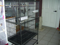 large bird flight cage