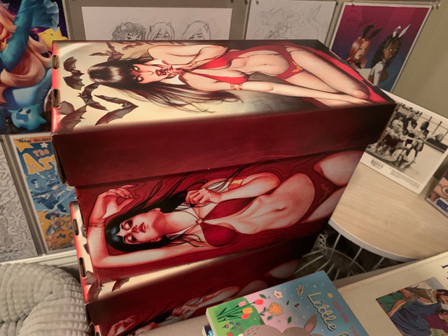 Vampirella Comic Book Box dans Art et objets de collection  à Ottawa