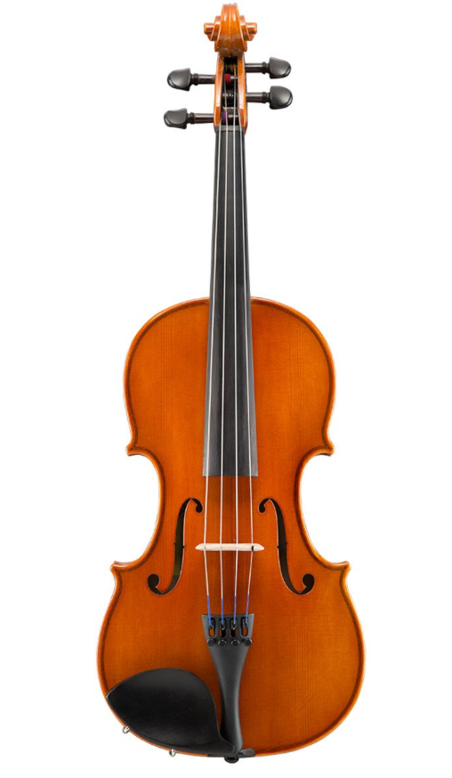 Violin lessons65669459476355120