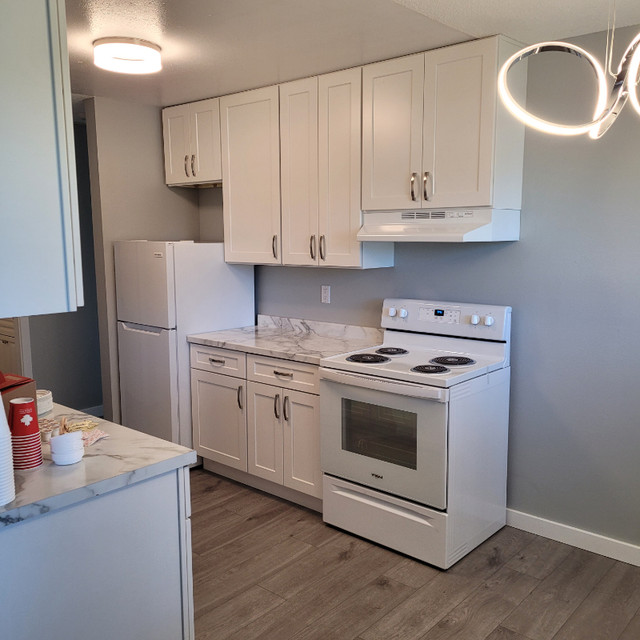 2 bedroom apartment for rent in Vanderhoof, BC in Long Term Rentals in Vanderhoof - Image 2