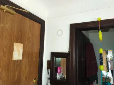 small bachelor apartment