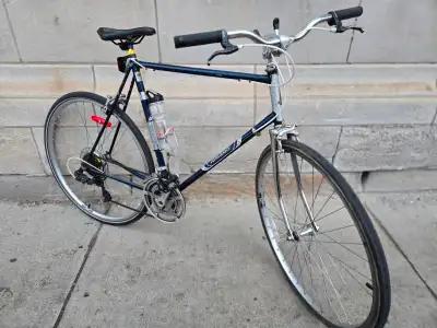 Slice Through Traffic Glide Like An Eagle, Beat The Bus! High Quality Raleigh - Vintage Road Bike Wi...