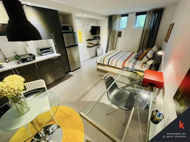 Studio à louer (tout inclus/équipé) - Rosemont - Dispo septembre — photo 1