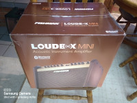 Fishman Loudbox Mini Bluetooth Acoustic guitar amp