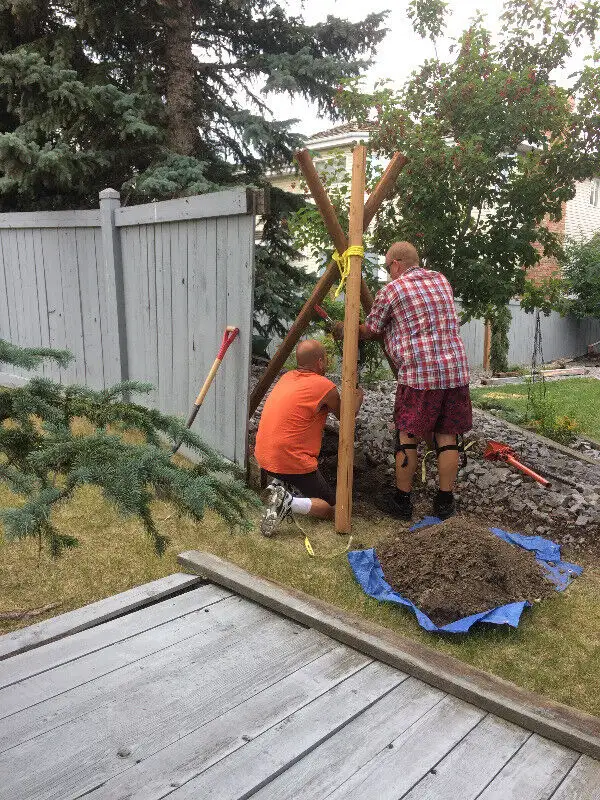 Broken Posts Replacement  and Gate builds64595457497729122