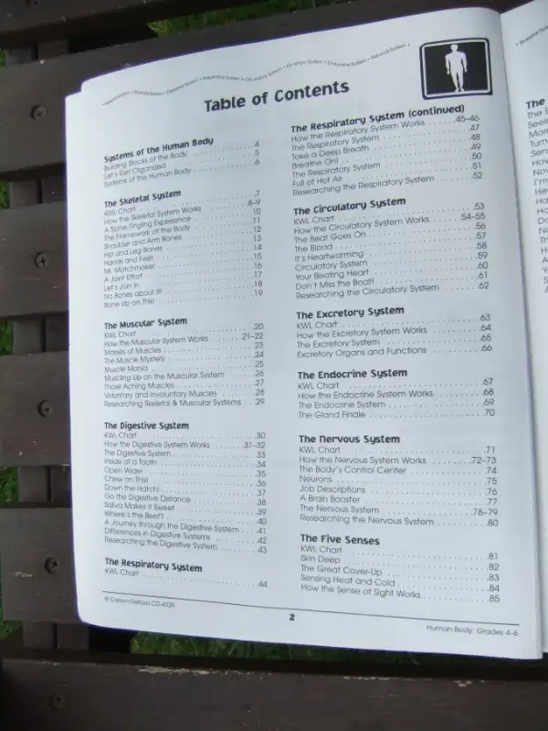 Human Body Published by Carson-Dellosa (for Grades 4-6) in Children & Young Adult in Mississauga / Peel Region - Image 5