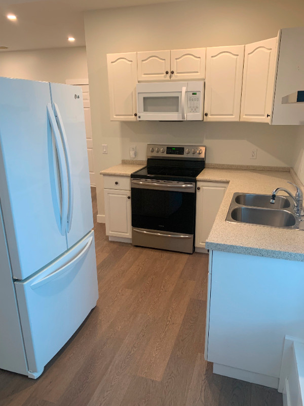 1 Bedroom Above Ground Basement Suite, Sumas Prairie Views! Long Term