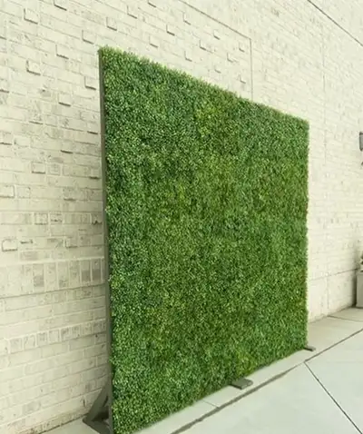 Elevate your event with our lush green hedge wall! Perfect for photoshoots, weddings, and parties, t...
