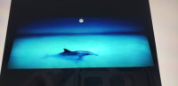Vintage Visiontac Motion Wave Lamp Dolphin Ocean Moon