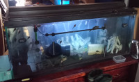 aquarium 72 gallon,Hagen,très équipé,2 gros filtreur,meuble,fish