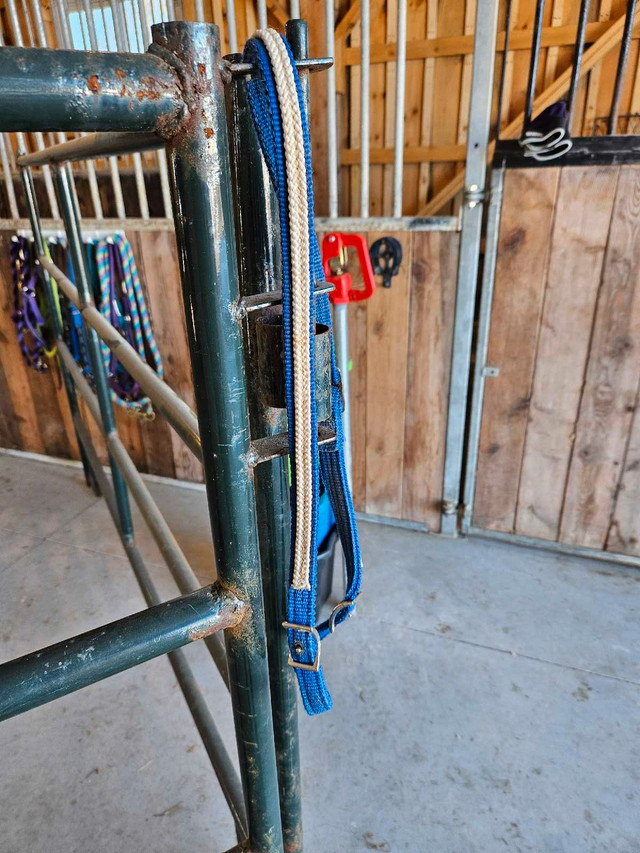 Western horse tack in Equestrian & Livestock Accessories in Belleville - Image 4
