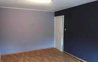 Experienced painter at a good price 438-889-9433 Mtl, Nord/Bordertown63007357506689122