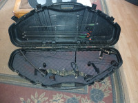 Alpine Sierra Magnum Compound Bow with hard sided case & target