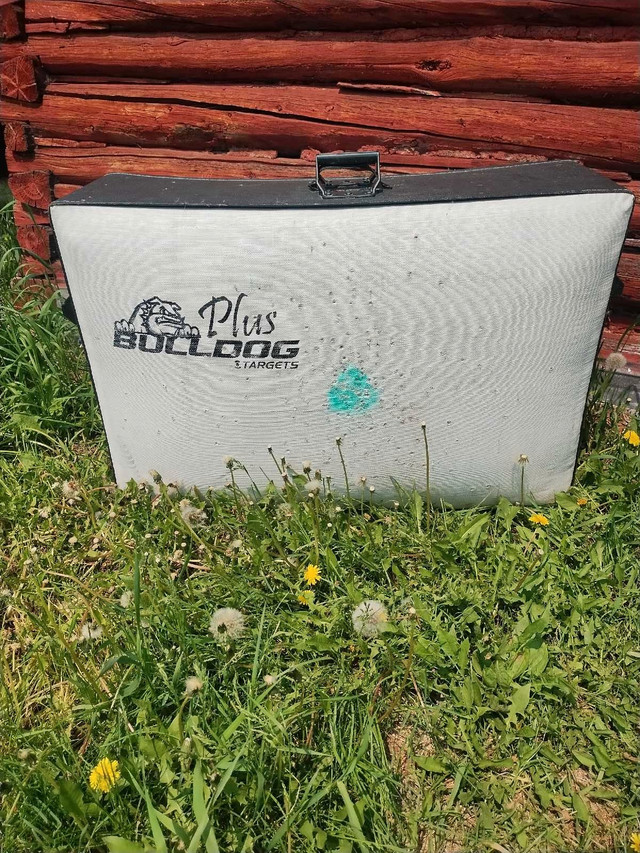 Bulldog Archery Target in Fishing, Camping & Outdoors in Edmonton