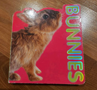 Livre cartonné pour enfant en anglais sur les lapins 