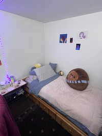 Furnished basement room, female preferred near downtown
