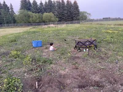 looking for acres with house for rent