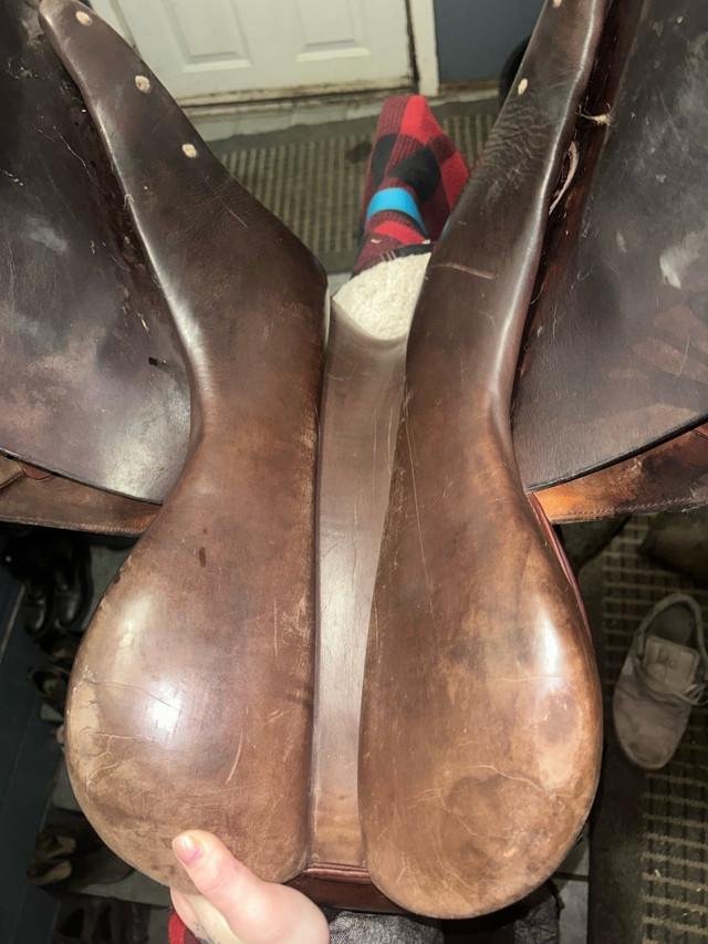 English saddle  in Equestrian & Livestock Accessories in Nanaimo - Image 4