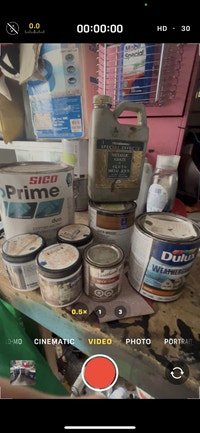 Assorted paints, wood stain, a little bit of everything London Ontario Preview