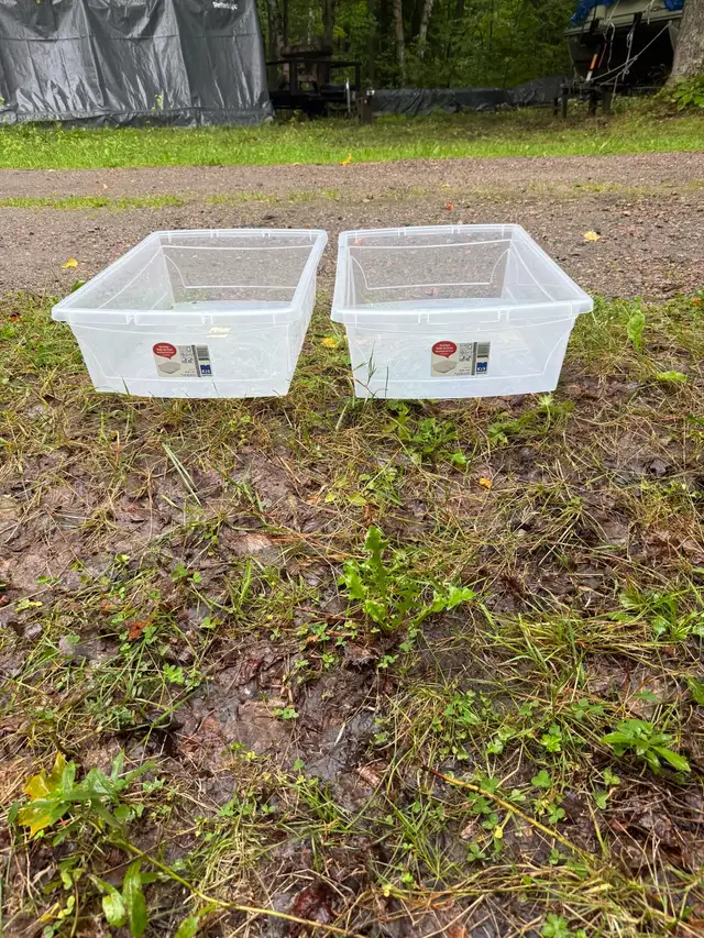 Clear bin NO lid (2 available )