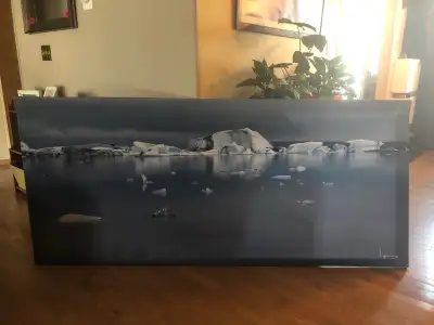 Large iceberg landcape photo for sale. Decent condition. Downsizing. 6 ft 9 inch (Length) 3 ft (widt...