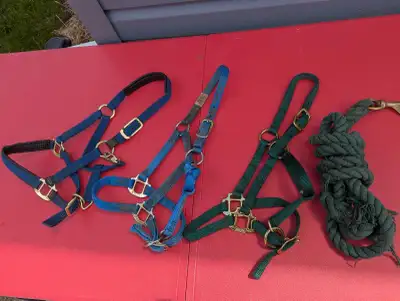 3 halters and one lead rope. One shires, one weaver and on hamilton. Lot for $10. Pick up in Ailsa C...