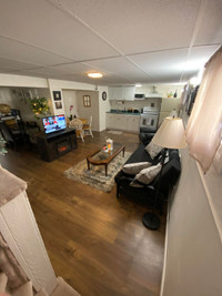 1 Bedroom Furnished Basement Apartment