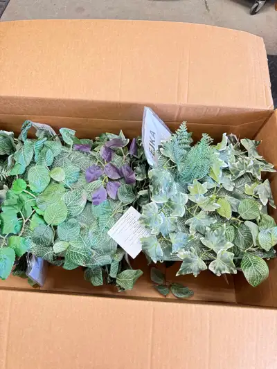 Ikea Plant Wall Panels and Assorted plants, View more